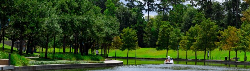 A park in The Woodlands with people who may need the services of a local bail bondsman someday