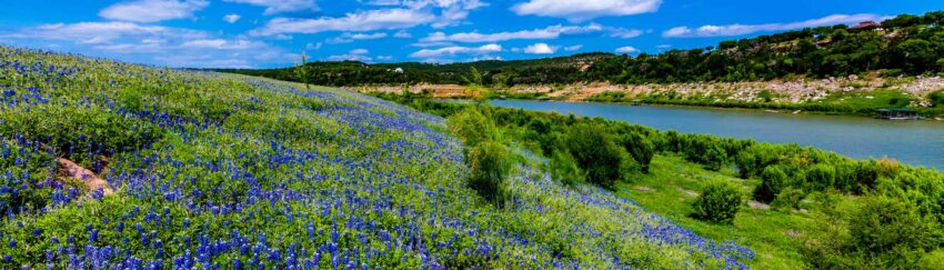 A meadow by a river in Lazybrook, TX, whose residents can get a bail bond from All About Bail Bonds